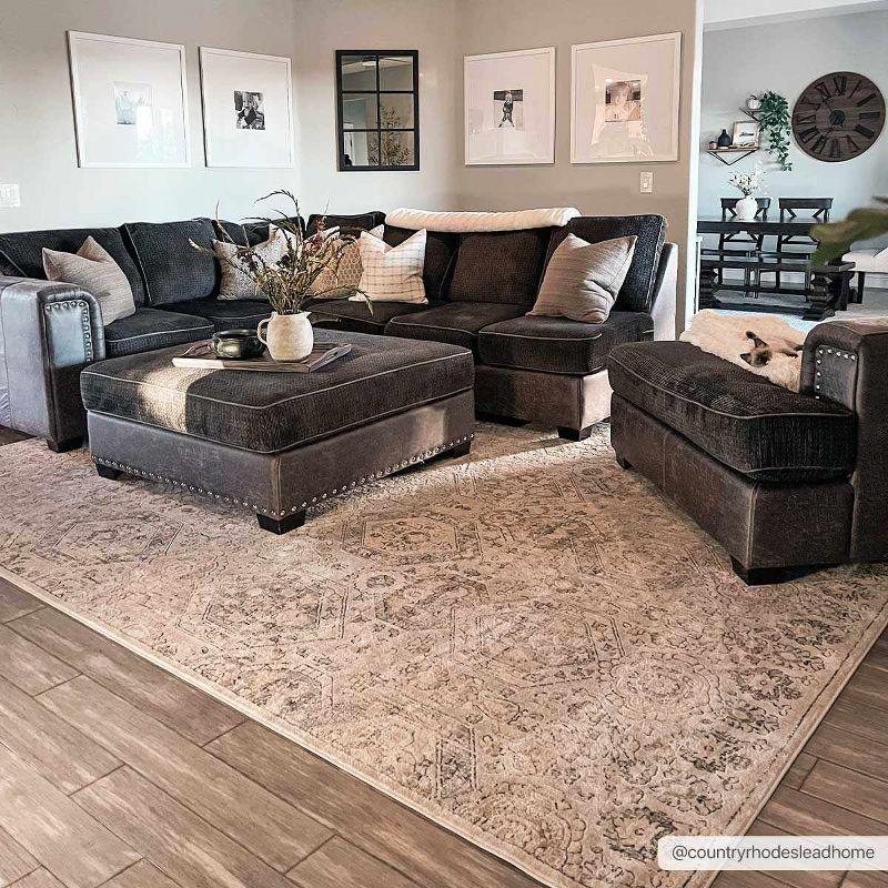 Hauteloom Runner Area Rug   Charcoal