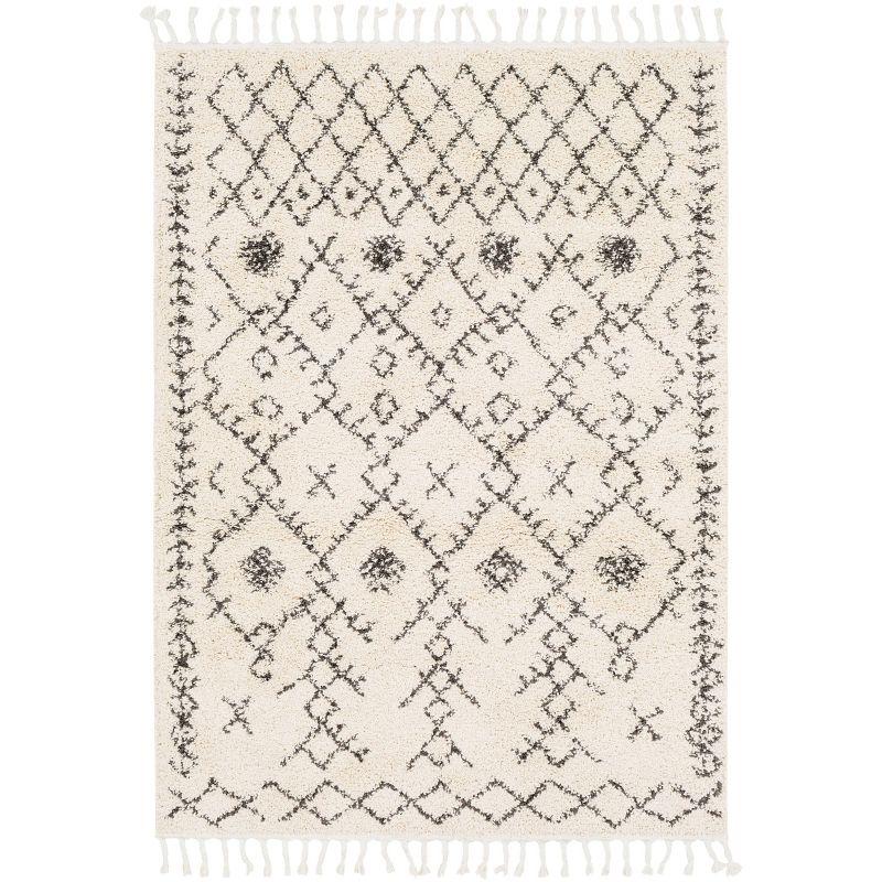 Mossy Moroccan Charcoal/Beige Area Rug