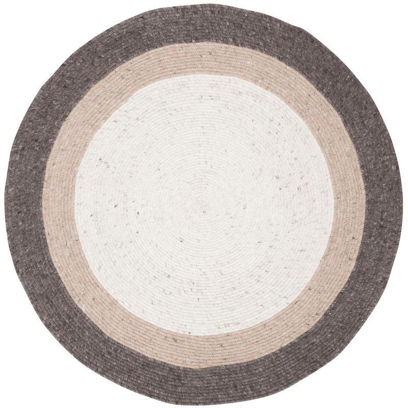 Braided BRD903 Hand Woven Indoor Accent Rug - Charcoal/Ivory - 3' Round - Safavieh