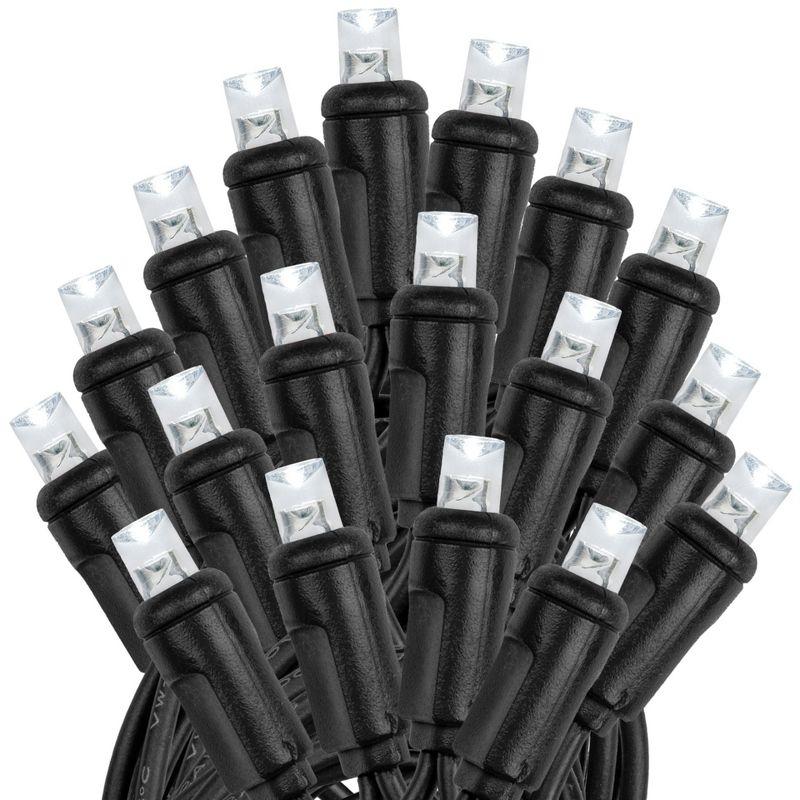Novelty Lights 50 Light Pure White LED Christmas Mini Light Set (Black Wire, 11 Feet)