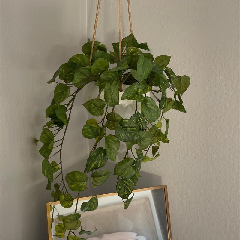 Vickerman 34" Artificial Pothos Hanging Bush.
