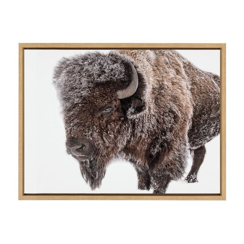 Sylvie Bison in Snow Framed Canvas by Amy Peterson Art Studio Natural - Kate & Laurel All Things Decor