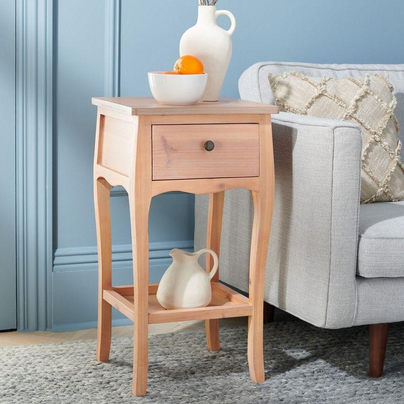 Transitional Black/Brown Fir Wood End Table with Storage