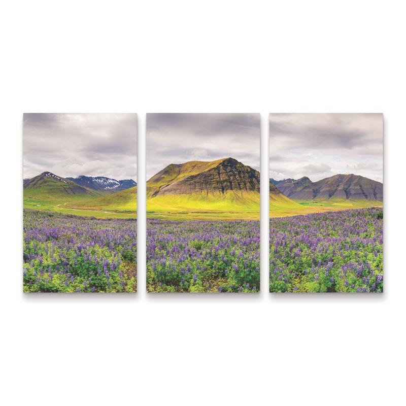 Michael Blanchette Photography Landscape Canvas Triptych