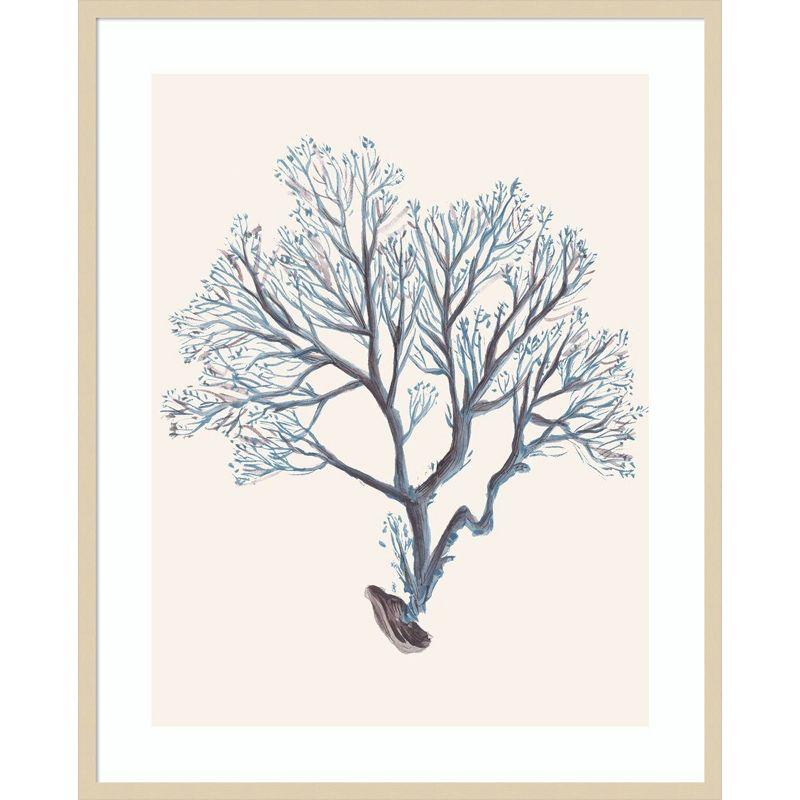 Amanti Art Indigo Reef III by Melissa Wang Framed Wall Art Print