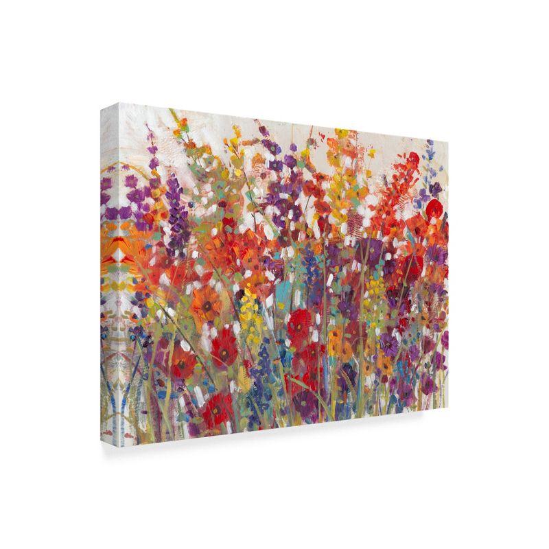 Trademark Fine Art -Tim Otoole 'Variety Of Flowers Ii' Canvas Art - 24''x32''