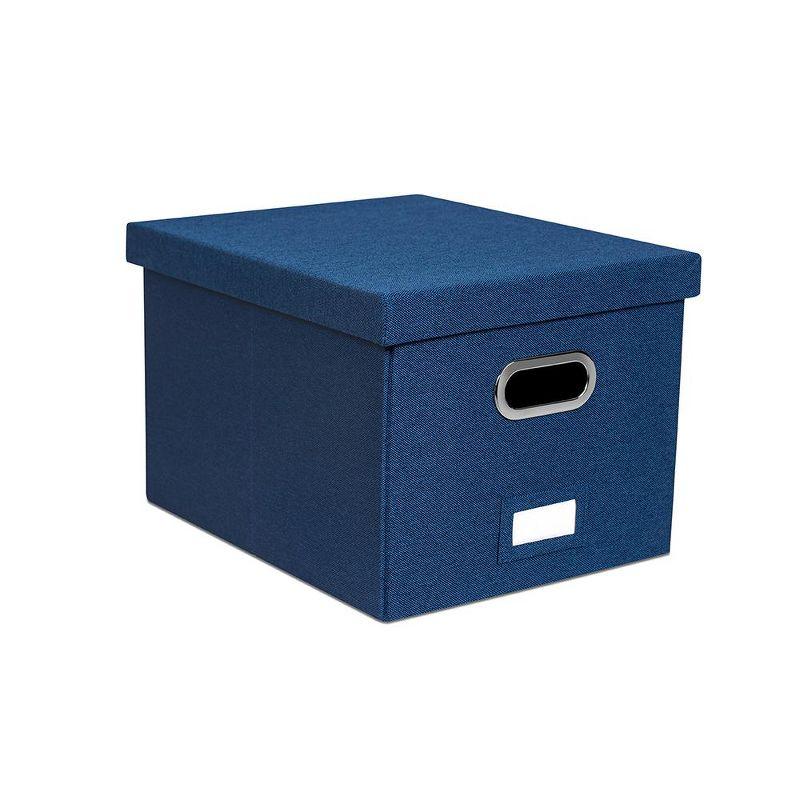 BirdRock Home Internet's Best Collapsible File Storage Fabric Box & Reviews | Wayfair