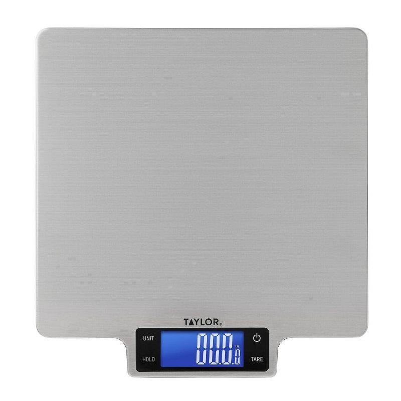 Taylor Taylor 22Lb Ultra-Precise Digital Stainless Steel Household Kitchen Scale, One, Silver