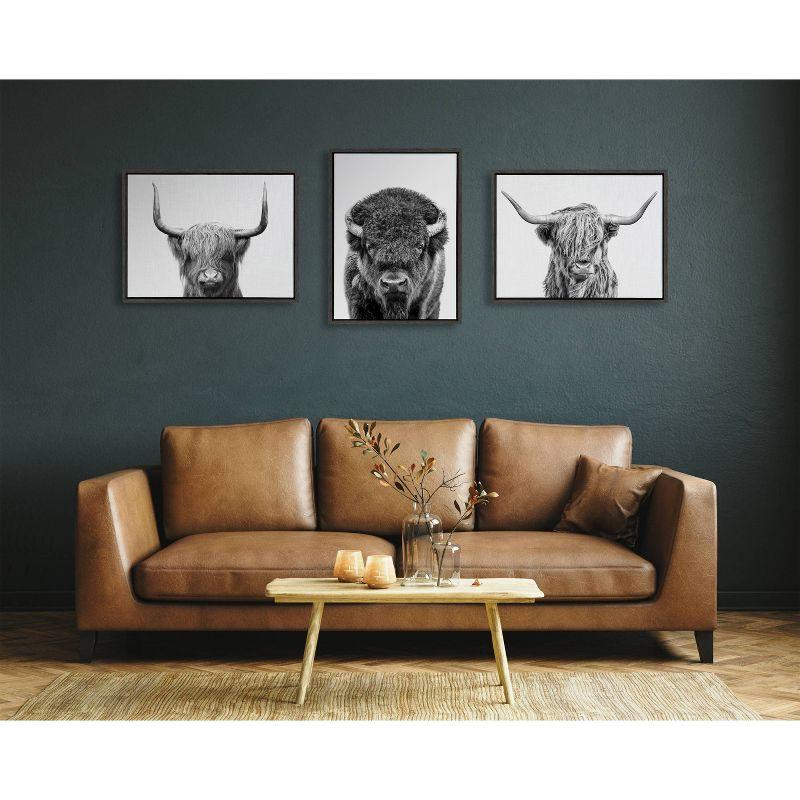 Sylvie Bison Portrait Black and White Frame Canvas by Amy Peterson Gray - Kate & Laurel All Things Decor