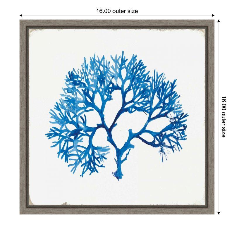 Amanti Art Blue Coral I by Aimee Wilson Canvas Wall Art Print Framed 16 x 16-in.