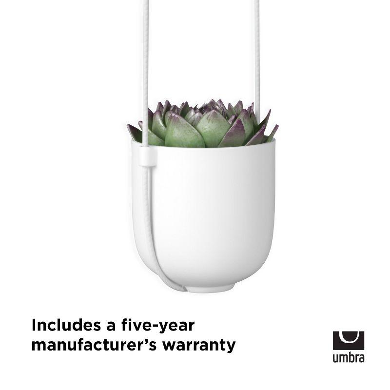 Umbra Bolo Ceramic Hanging Planter