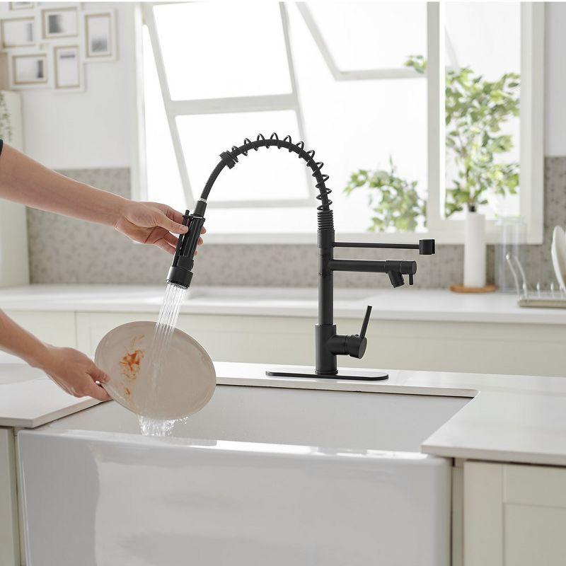 Pull Down Single Handle Kitchen Faucet with Accessories