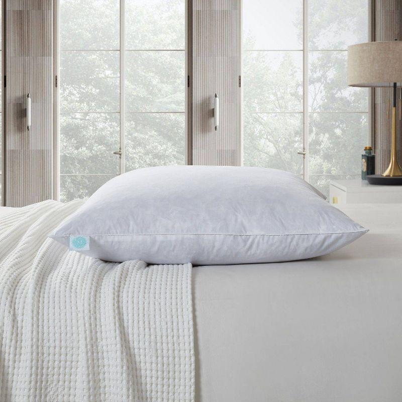 Euro 2pk Firm Feather Down Bed Pillow - Martha Stewart: 233 Thread Count, 100% Cotton, 26x26 Universal Sleeper