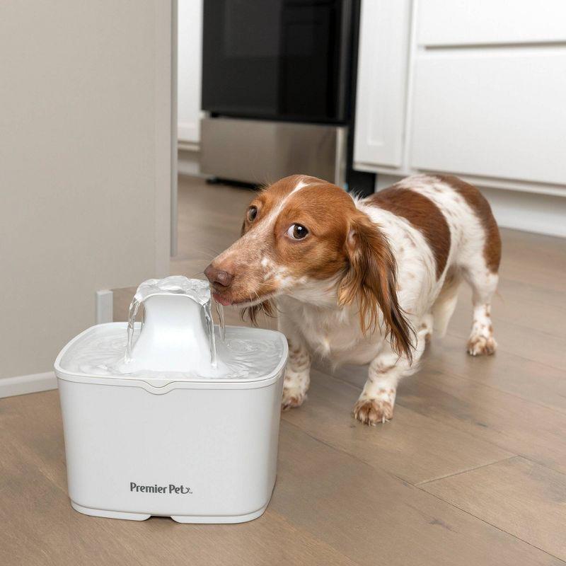 Premier Pet Premier Pet 60 Oz Pet Fountain
