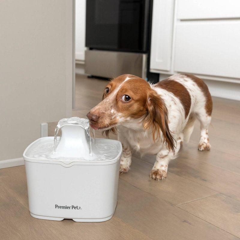 Premier Pet Automatic Water Fountain for Cats and Small Dogs - 60oz