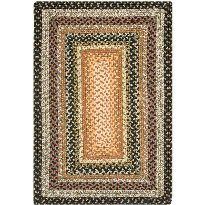 Braided BRD308 Hand Woven Area Rug  - Safavieh