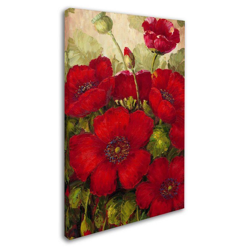 22" x 32" Poppies II by Rio - Trademark Fine Art