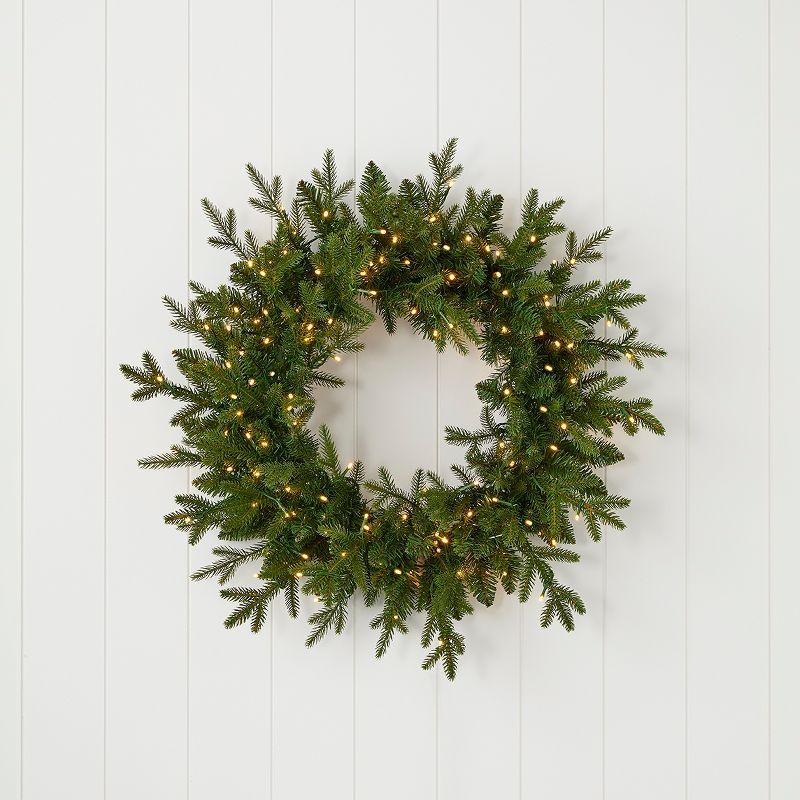 Dandan Faux Lighted Plug-In 24'' Wreath