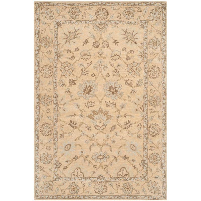 Wyndham WYD205 Hand Tufted Area Rug  - Safavieh