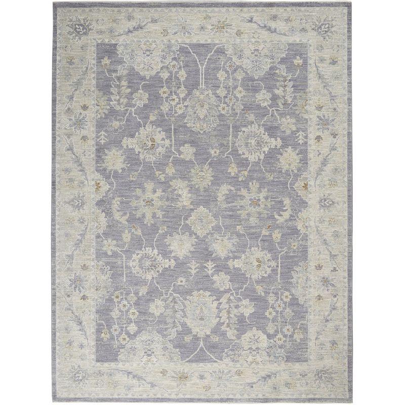 Nourison Asher Farmhouse Indoor only Area Rug