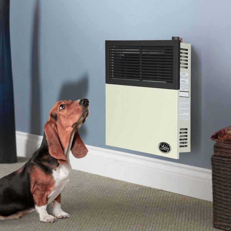 Ashley Hearth Products 11,000 BTU Direct Vent Liquid Propane Wall Mounted Heater with Piezo Lightning, Safety Pilot and Built-In Regulator, Cream