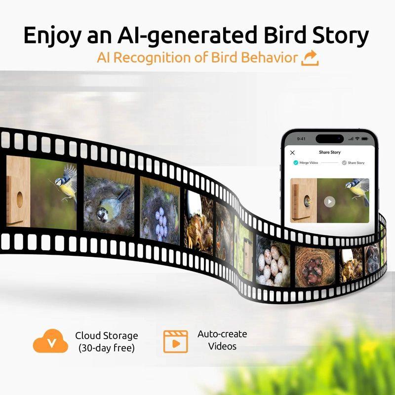 Birdfy NETVUE Birdfy Hummingbird Feeder with 2 Cameras Solar Powered - Dual Smart Cams, 2K HD Wireless for 2 Angels Close-up Bird Watching Outdoor, Instant Notifications (20Oz) (Hum Duo AI Solar)