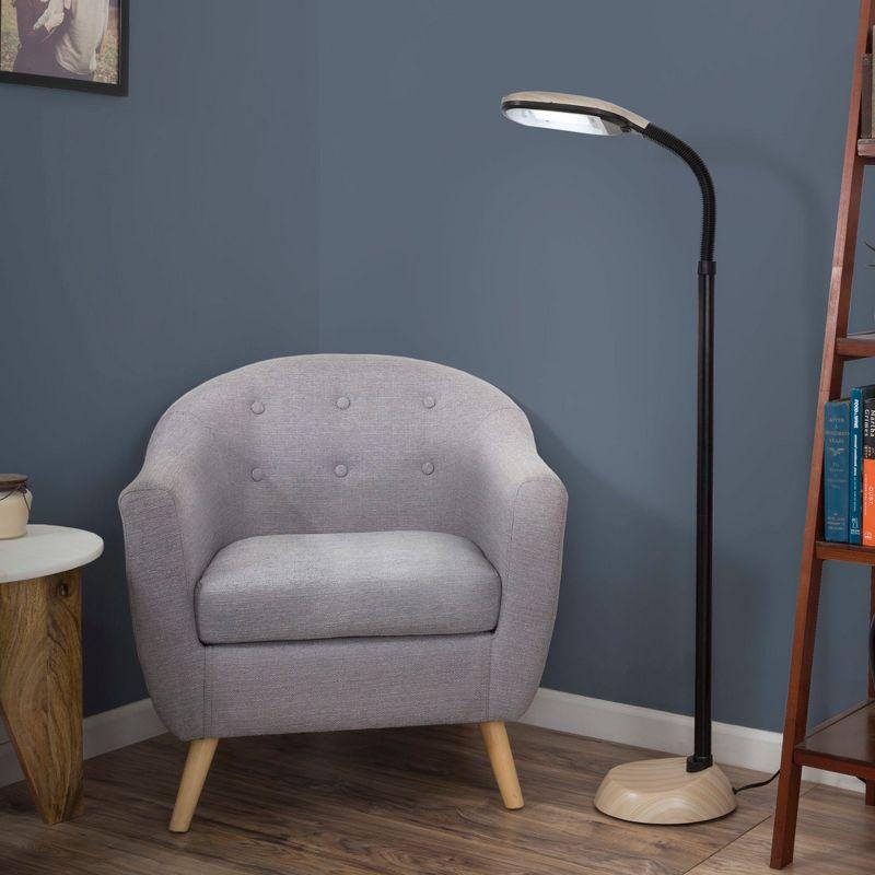 Sunlight 63.5'' Task Floor Lamp