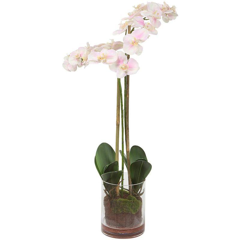 Blush Pink Orchid Arrangement with Glass Vase and Lights