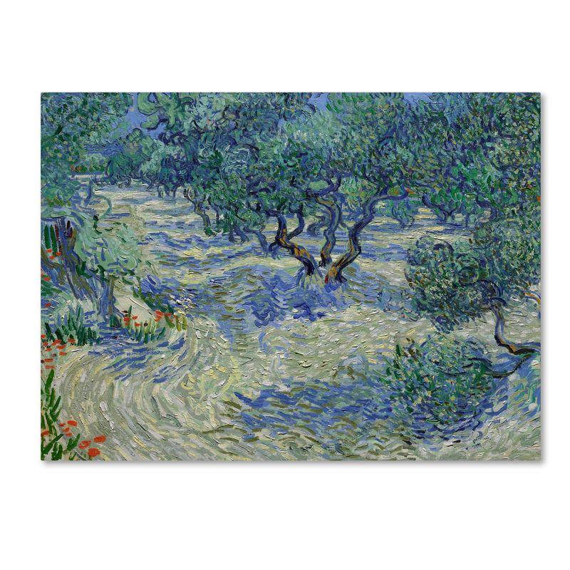 Van Gogh 'Olive Orchard' Canvas Art-35x47