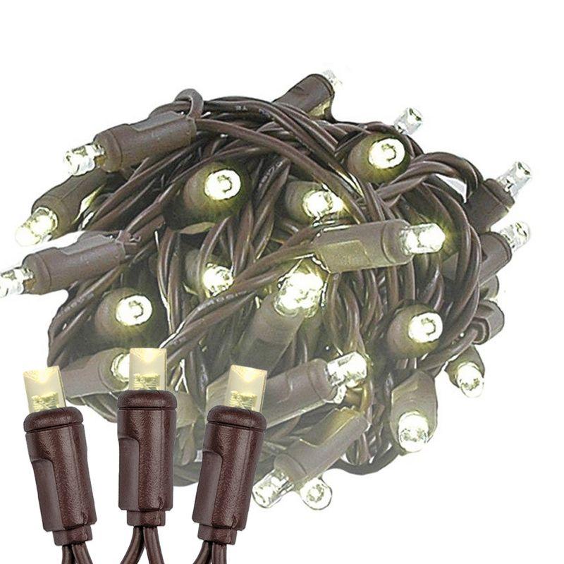 Novelty Lights Warm White 100 LED Christmas Mini Light Set (Brown Wire, 34 Feet)
