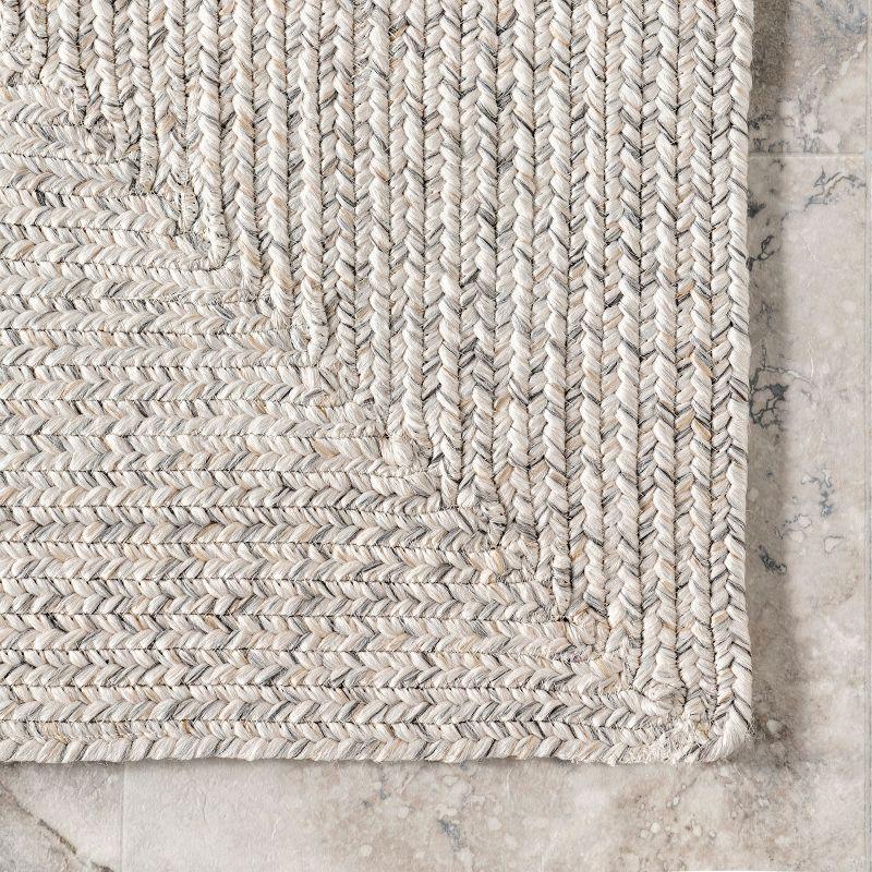 Nuloom Wynn Braided Indoor/Outdoor Area Rug