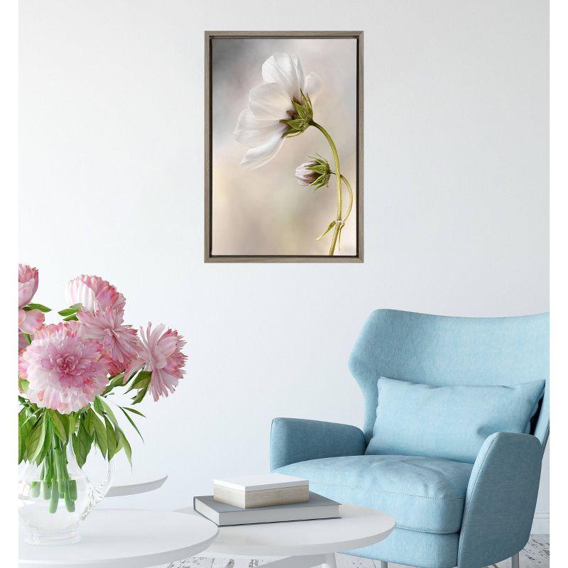 16" x 23" Heavenly Cosmos Framed Canvas Wall Art - Amanti Art: Mandy Disher Botanical Print