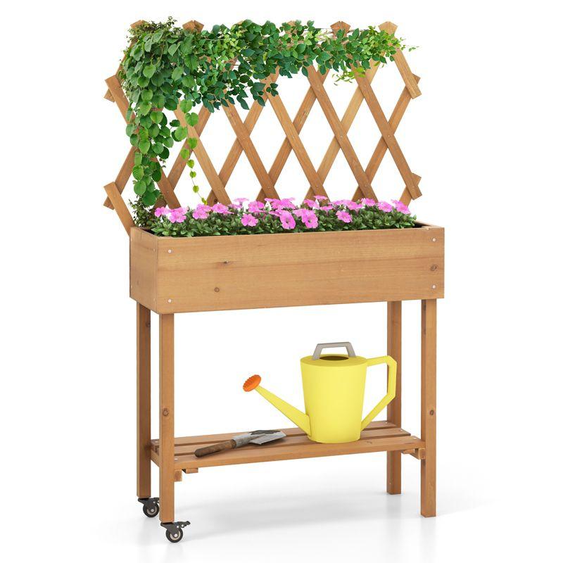 Arlmont & Co. Wood Raised Garden Bed With Trellis Storage Shelf Wheels Liner Drainage Holes