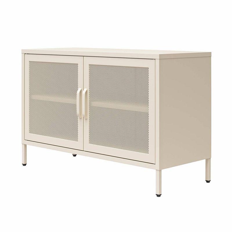 Channing 25.2" Tall Steel 2 - Door Accent Cabinet