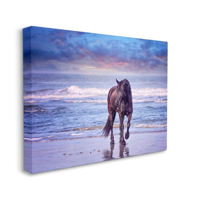 Wild Horse on Beach Blue Sunset Canvas Print