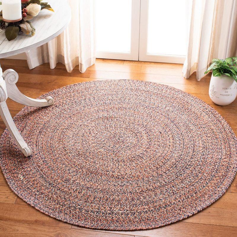 Braided BRD701 Hand Woven Area Rug  - Safavieh