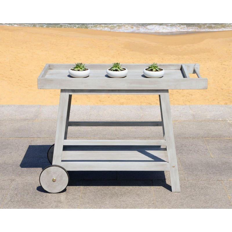 Transitional Eucalyptus Wood Bar Cart with Storage in Grey Wash