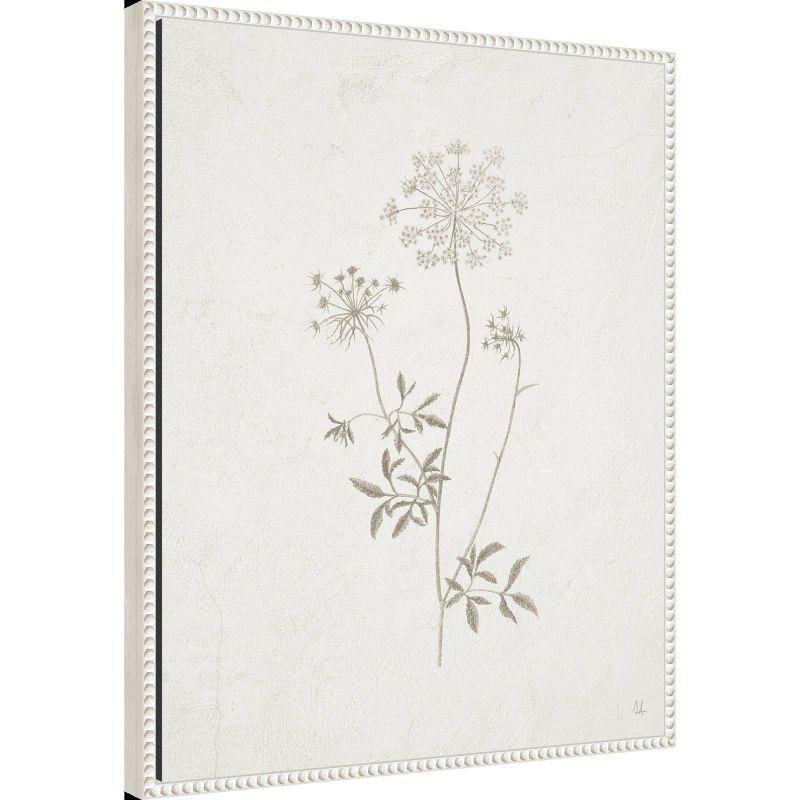 Amanti Art 23"x28" Plants from The Meadow III by Sarah Adams Framed Canvas Wall Art Print: Hand-Stretched, Madison WI, Modern Decor