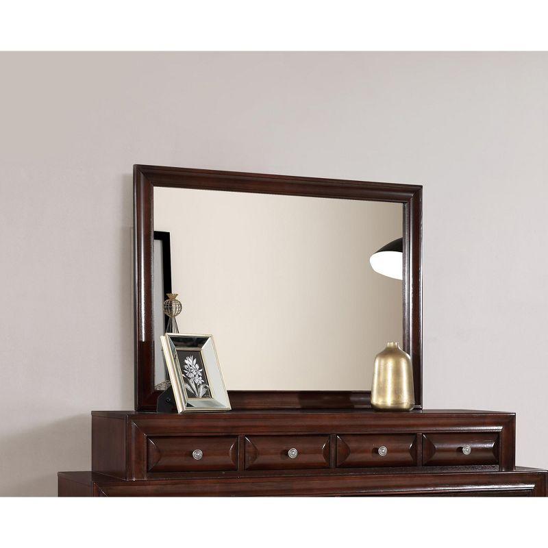 Passion Furniture LaVita 45 in. x 33 in. Modern Rectangle Framed Cappuccino Dresser Mirror