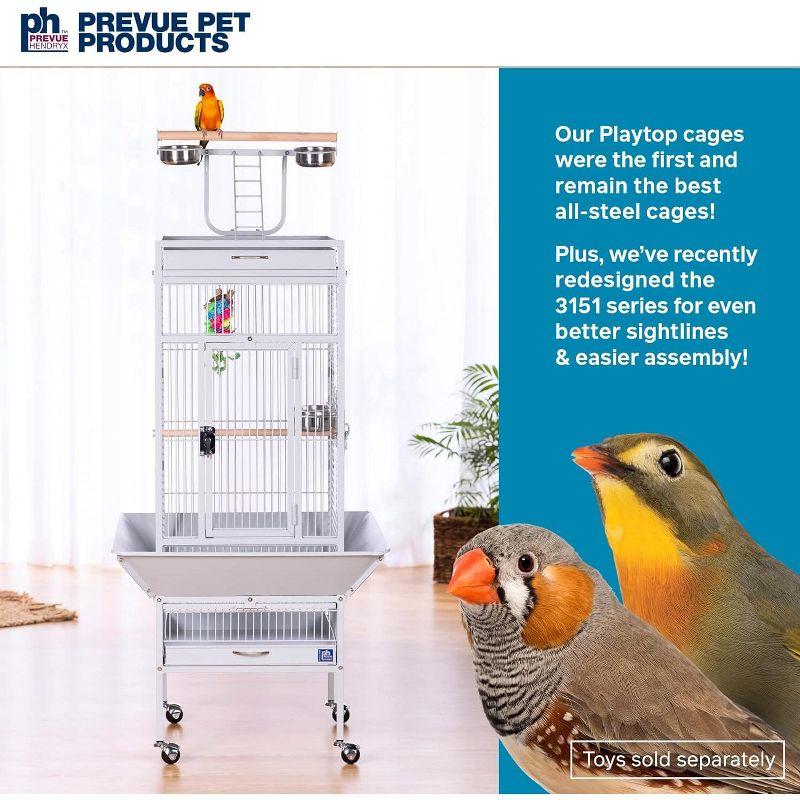 Prevue Pet Products Wrought Iron Select Bird Cage Black Hammerstone 3151BLK