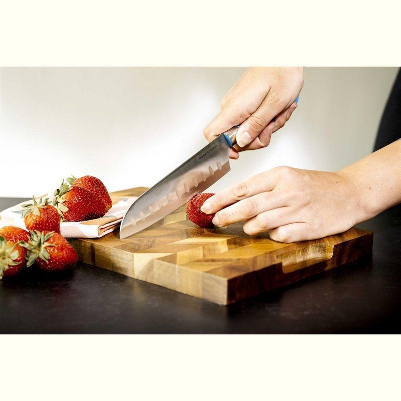 Eco-Friendly Blue High Carbon Stainless Steel Santoku Knife Set