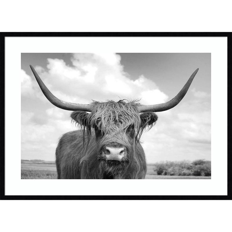 41" x 30" Highland Cow On the Ranch by Andre Eichman Framed Wall Art Print Black - Amanti Art: Modern Decor, Animal Photography