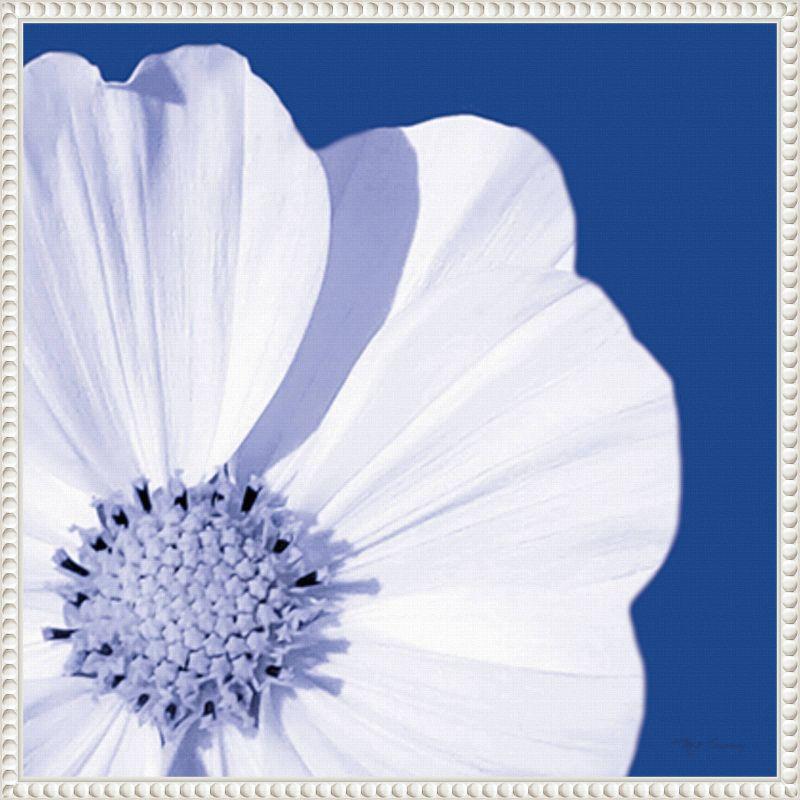 Amanti Art Flower Pop Blue III by Marie Elaine Cusson Framed Wall Art Print