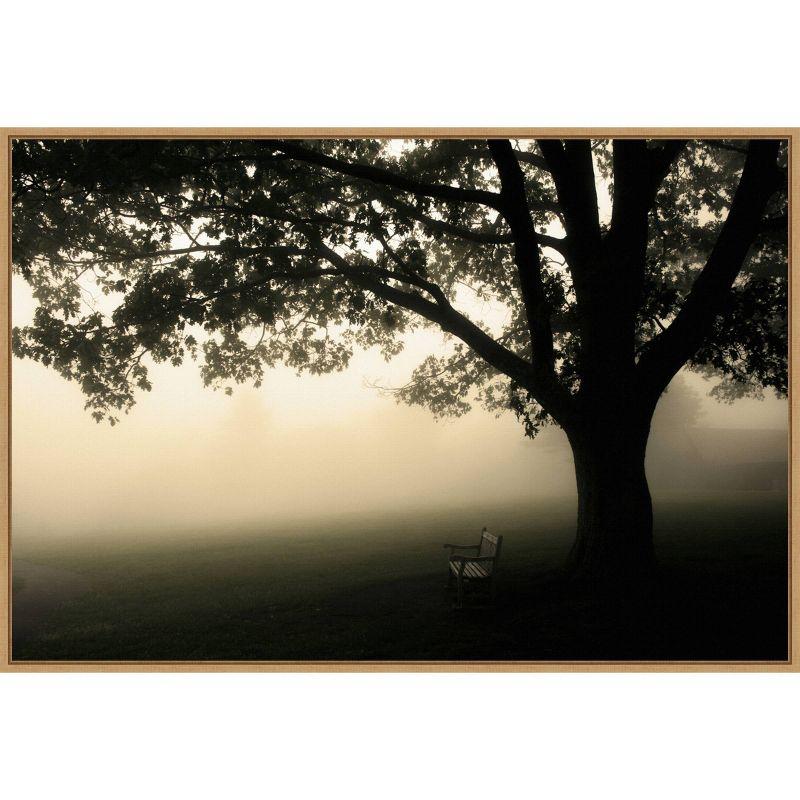 Amanti Art 33" x 23" Shenandoah by Andy Magee Framed Canvas Wall Art Print : Landscape, Framed Tree Art