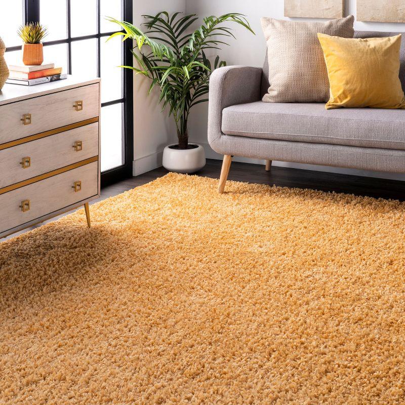 Nuloom Kara Solid Shag Indoor Area Rug