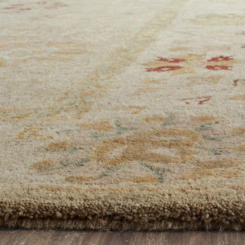 Antiquity AT859 Hand Tufted Indoor Accent Rug - Taupe/Beige - 2'x3' - Safavieh