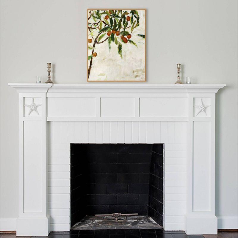 23" x 28" Kumquat Tree by Jodi Maas Framed Canvas Wall Art Print - Amanti Art: Large Lithograph, Modern Kitchen Decor