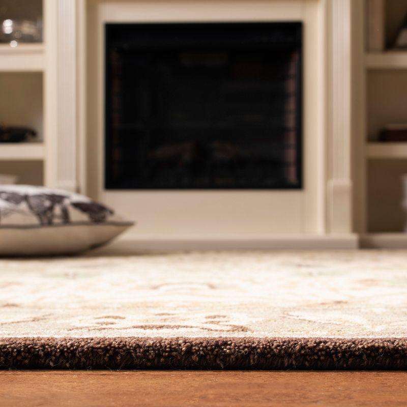 Anatolia AN512 Hand Tufted Indoor Area Rug - Ivory/Brown - 4'x6' - Safavieh