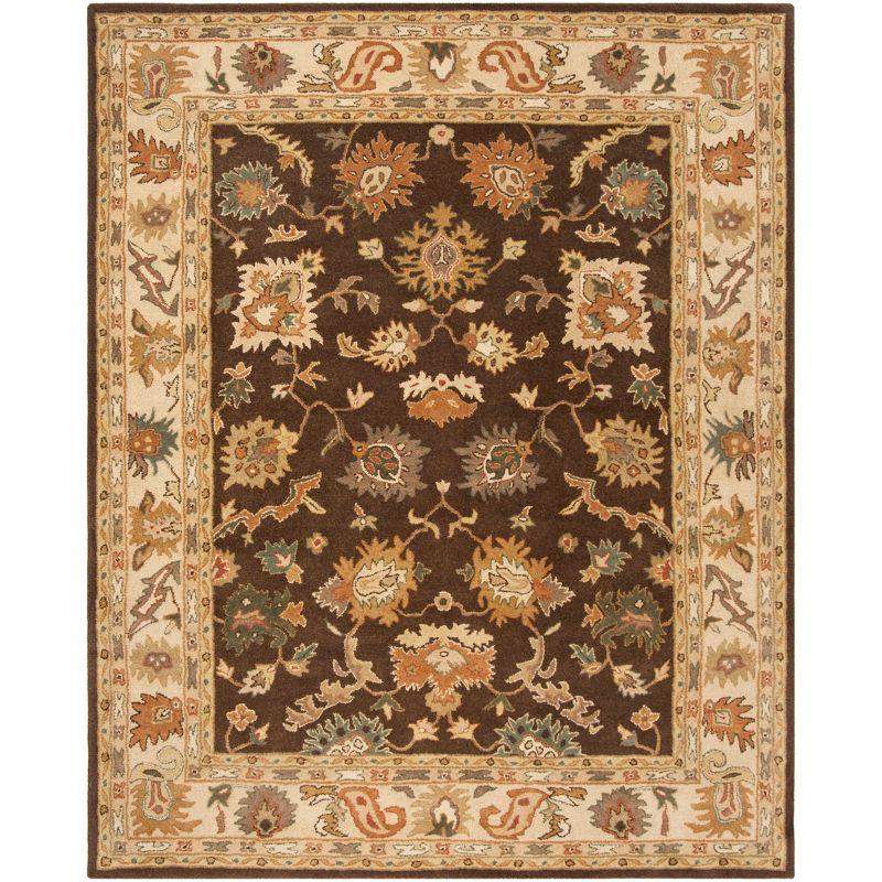 Hand-Tufted Woolen Area Rug in Brown/Ivory, 9' x 12'