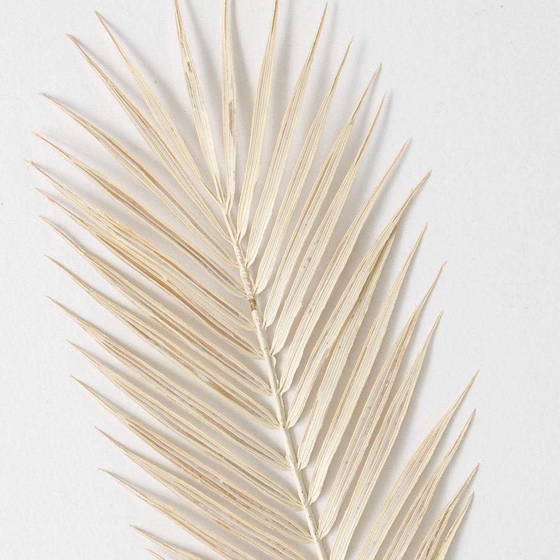 Off-White Faux Dried Fern Stem 34"